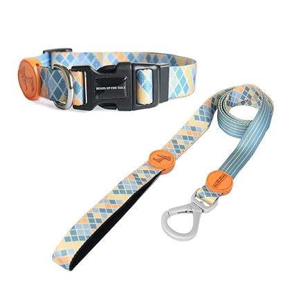Heads Up For Tails Colour Chaser Collar and Leash Set for Dogs - L