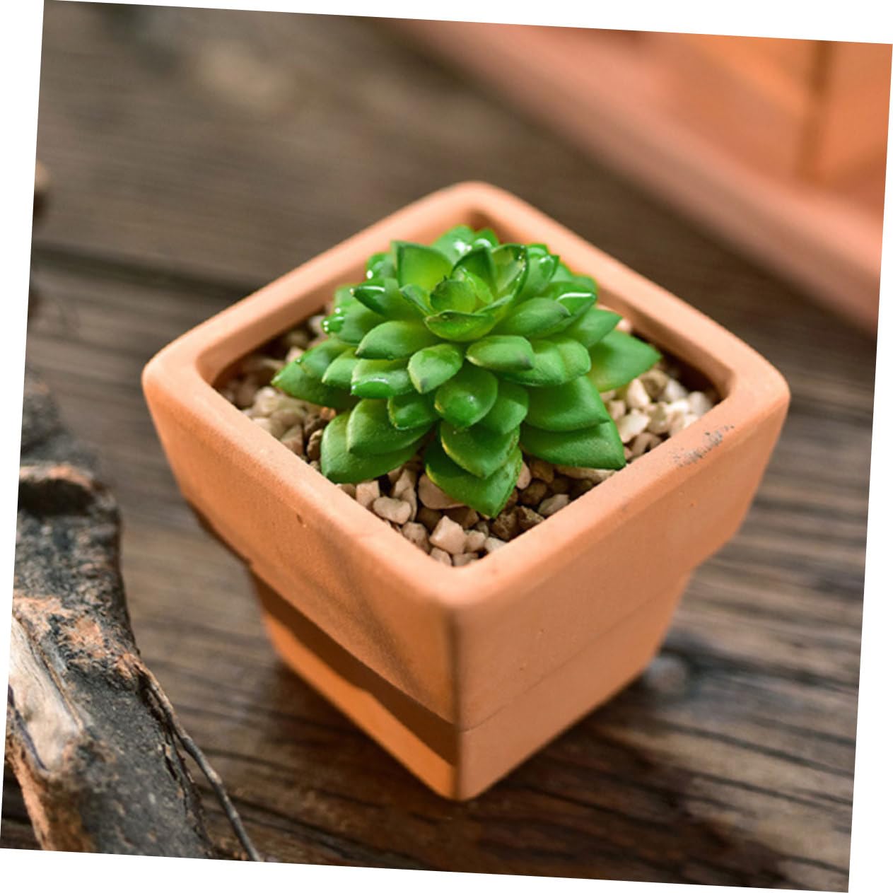 BESPORTBLE 5kawałki Doniczki Ceramiczne Do Sukulentów Mini Doniczki z Gliny Małe Ozdobne Lekkie Przewiewne Do Biura i Ogrodu
