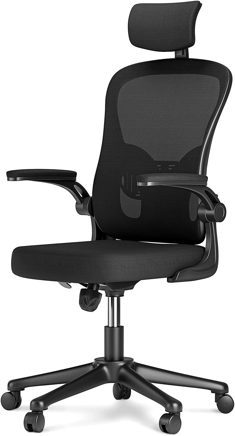 Naspaluro Office Chair with Lumbar Support, Mesh High Back