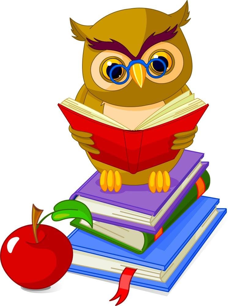 Wise Owl Reading Books Wall Decal – Removable Vinyl Wall Sticker – Easy Peel & Stick – 18"