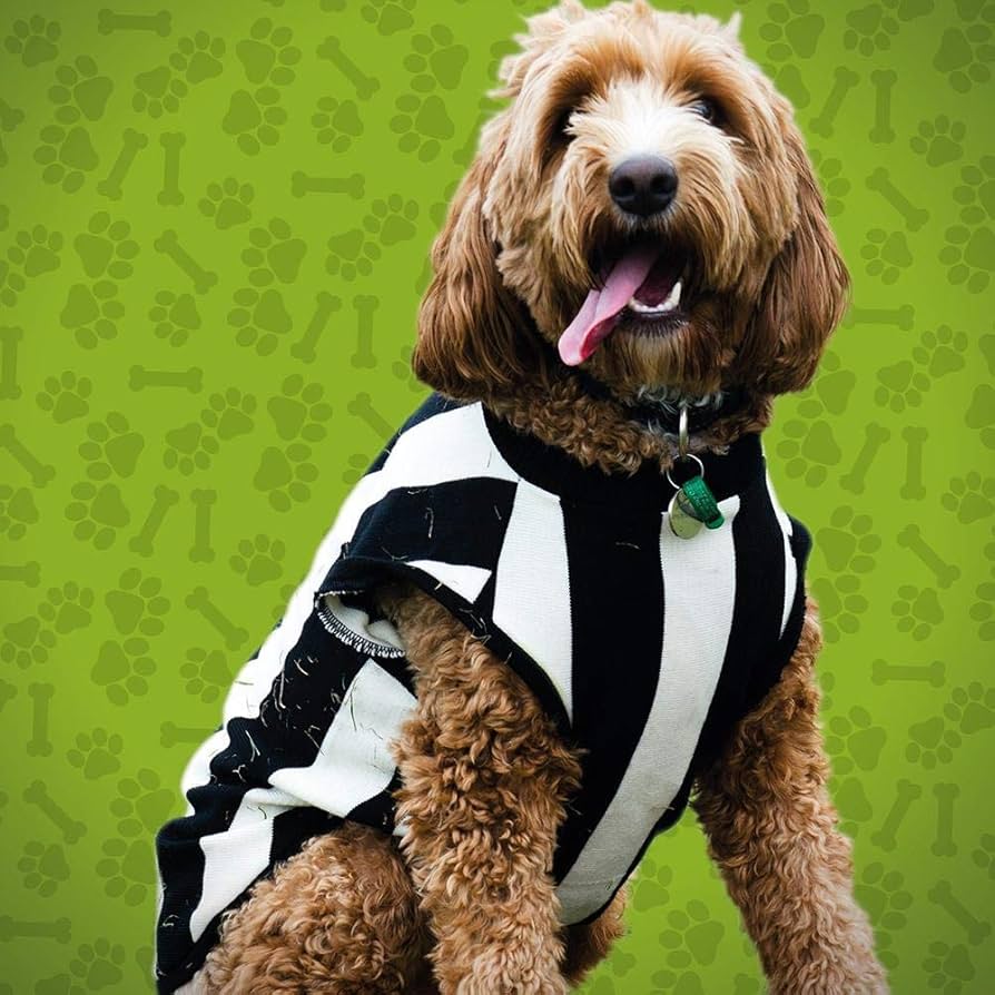 AFL Dog Medium 47cm Jumper Collingwood Magpies : Amazon.com.au