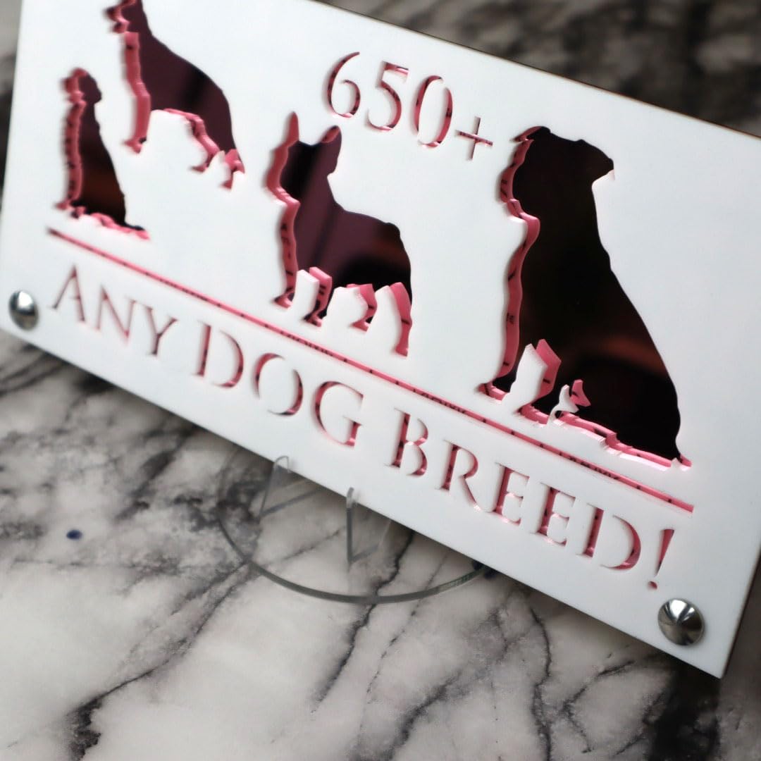 K Smart Sign | 280mm x 140mm | Personalised Dog Luxe property house Dogs wall number address Any-Dog personalised plaque numbers signs fully personalised choose your own (White & Rose Gold Mirror)