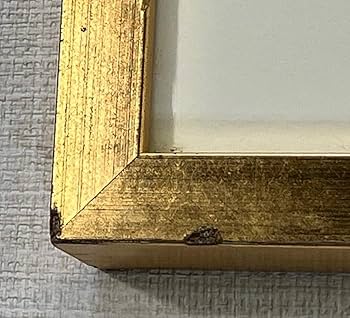 Amazon.co.jp: フジ子ヘミング 天使 銅版画 直筆サイン入り 限定