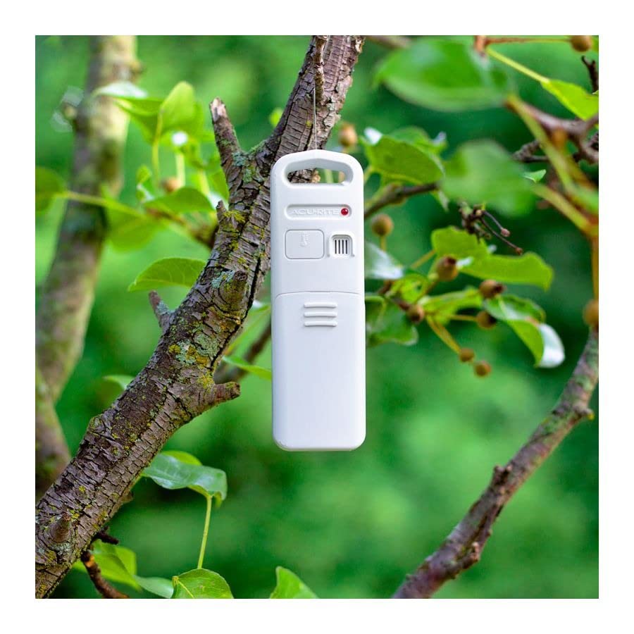 AcuRite wireless outdoor sensor mounted on a tree branch