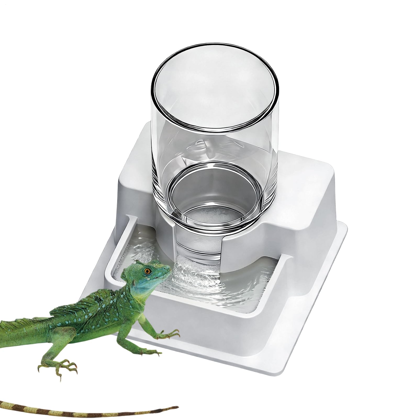 Masoog Fuente de Agua de Dragón Barbudo,Cuenco Automático Desmontable para Reptiles - Bebedero para Lagartos y para Serpientes de Terrario | para Camaleón, Gecko, Rana, Ermitaño, Anfibios, Terrario y — view 11