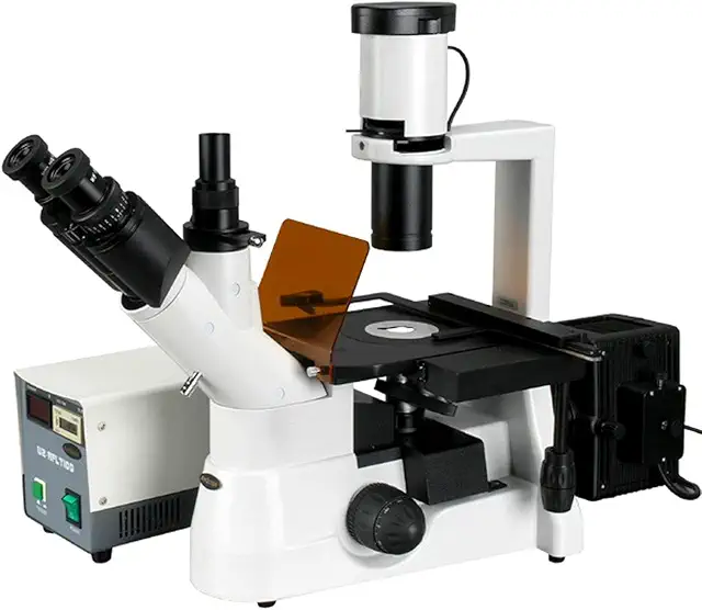 Imagen relacionada con Microscopio invertido de la fluorescencia de la cultura del contraste de la fase del plan 40x-1000x