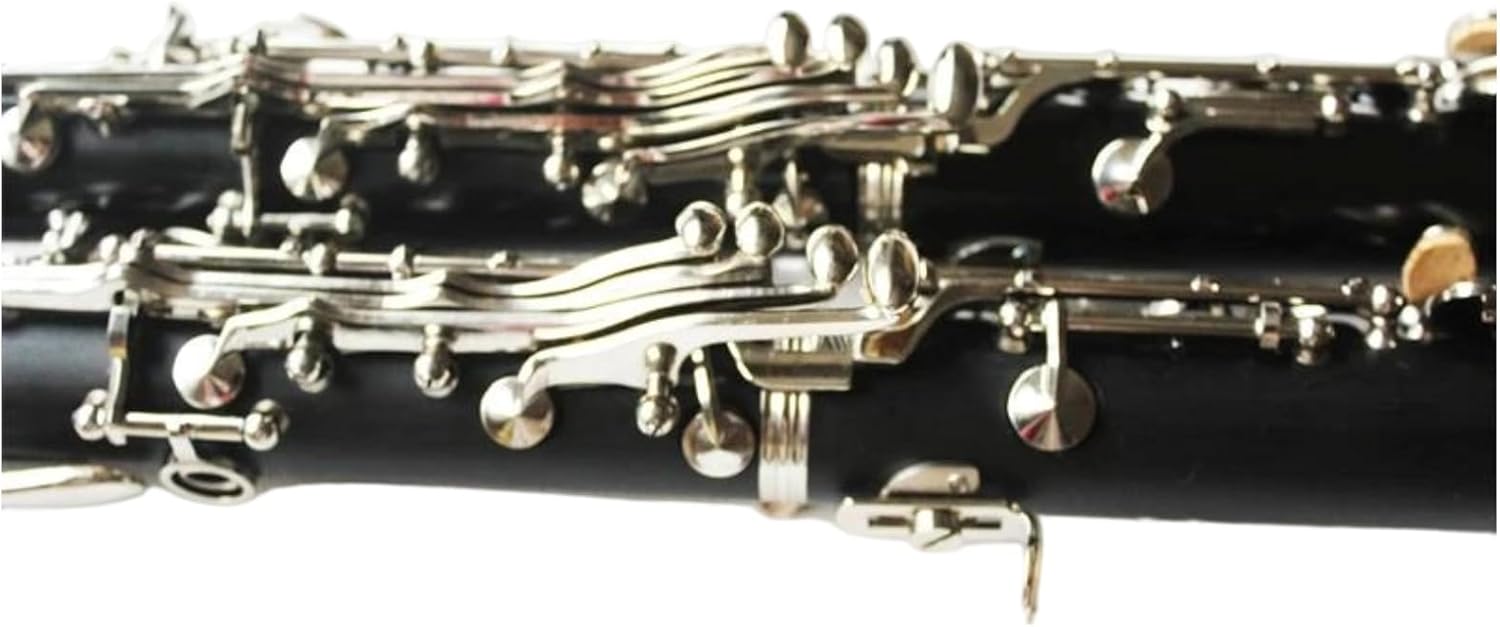 Clarinet for Adult Beginners Bb key Clarinet beginner practice instrument