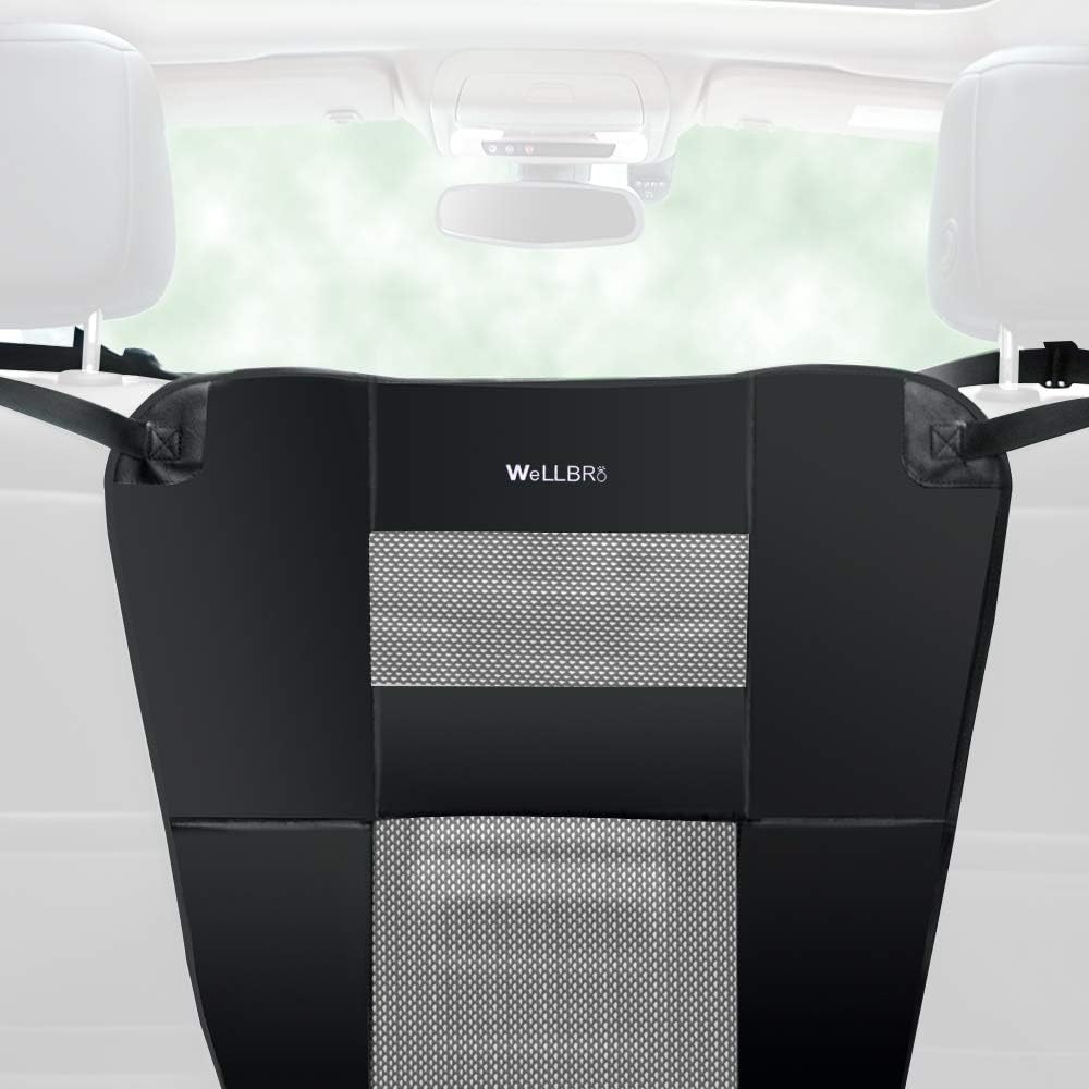 Wellbro Dog Car Backseat Barrier, Padded and Durable Nylon Net Pet Barrier, Vehicle Travel Dog Fence with 2 Mesh Windows, for Safe Driving, Easy to Install and Adjust for All Cars : Pet Supplies