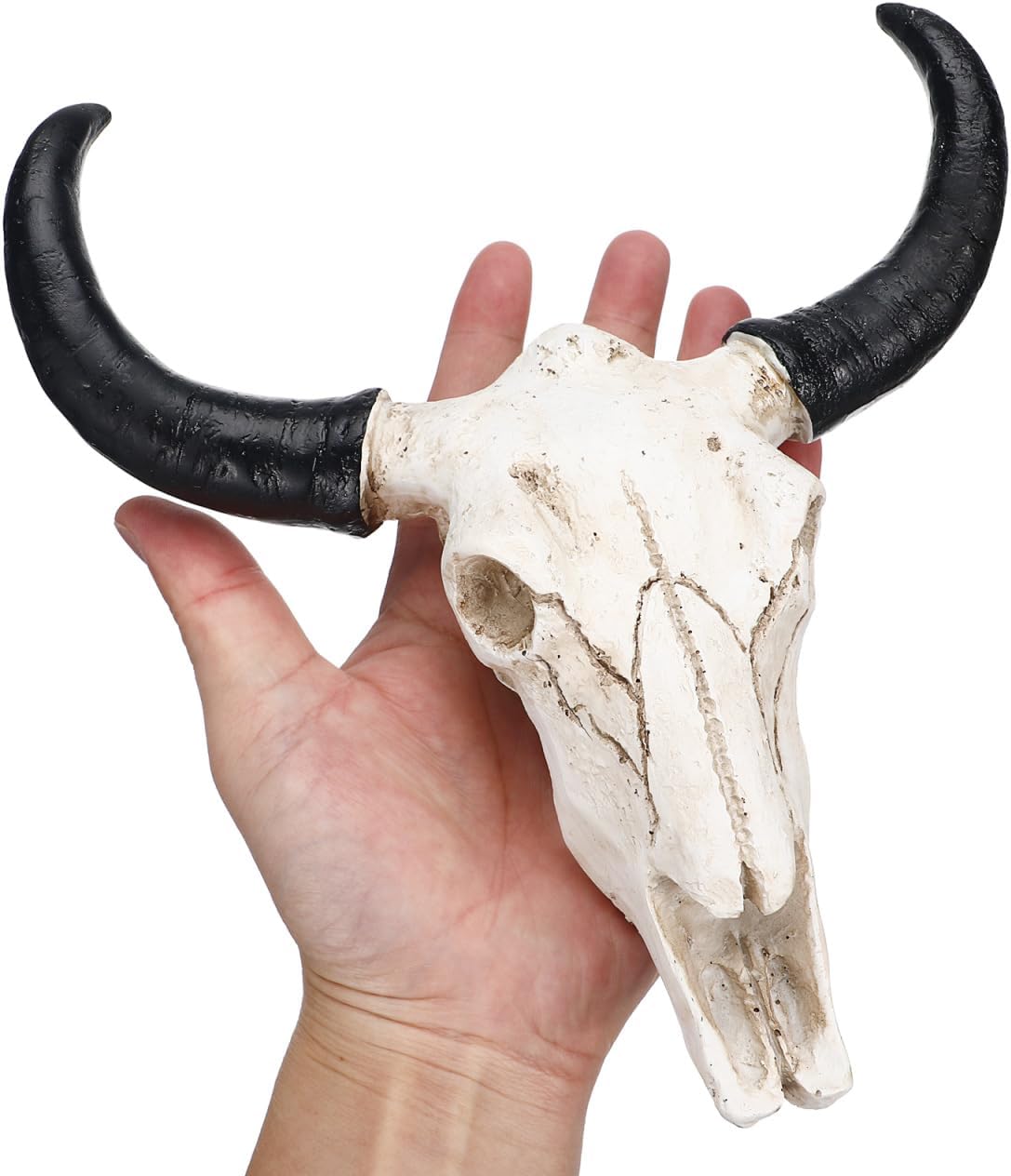 NOLITOY Cow Horn Skull Wall Decor: Small Resin Bull Horns Animal Wall Art Mount Sculpture for Home Office Hotel Western Decoration
