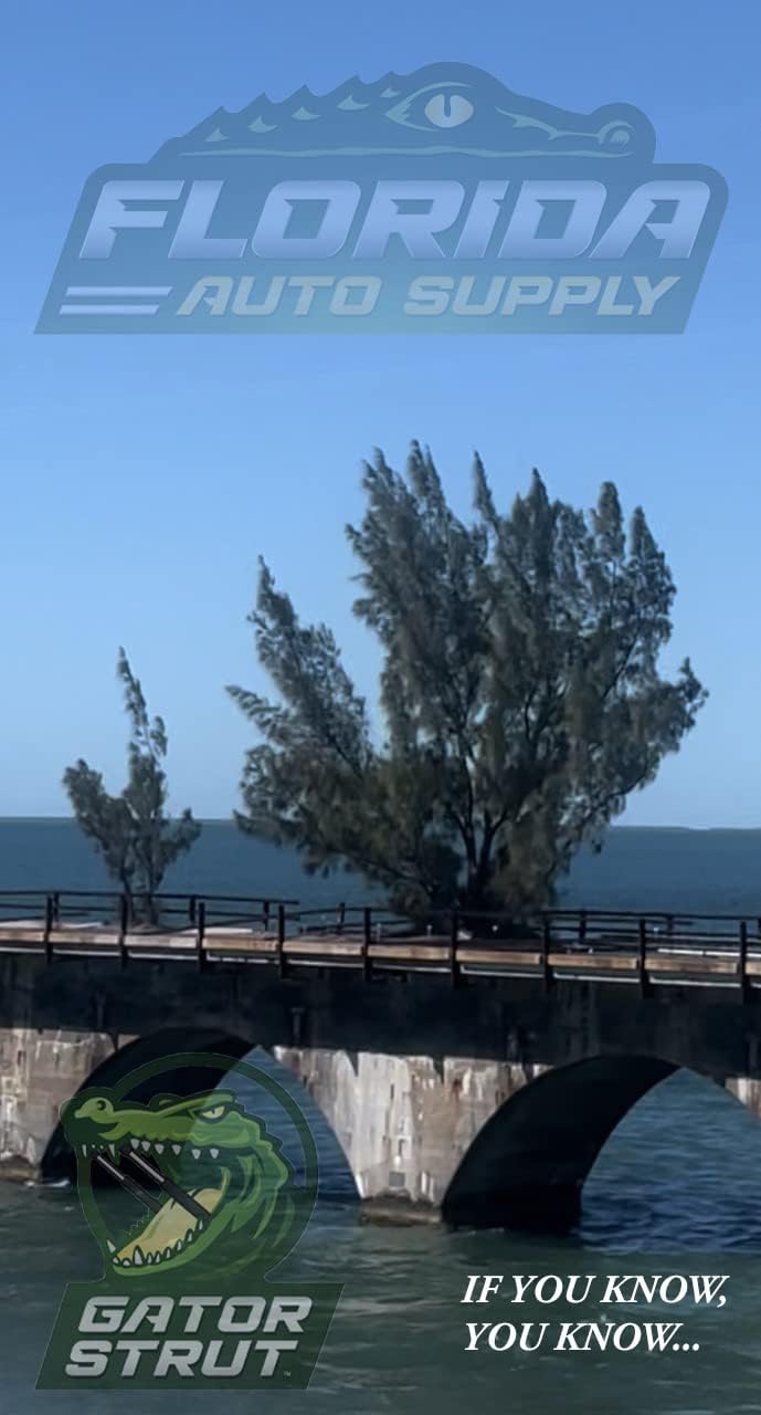 5 Lift Supports Kit, 1 Hood +2 Hatch +2 Window, Compatible with: 2005-2010 Jeep Grand Cherokee- Gas Spring by Florida Auto: FAS-198-1-FAS-197-2-FAS-210-2…