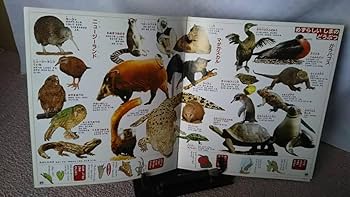 Amazon.co.jp: みスーパーワイドずかん～どうぶつせかいのどうぶつ だ