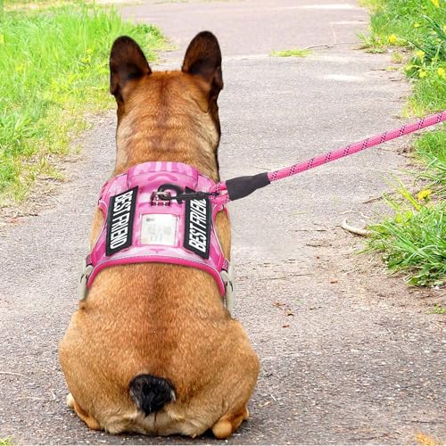 Image of Beebiepet Heavy Duty Tactical Dog Harness for Small Dogs, No Pull Adjustable Pet Harness Reflective Service Training Easy Control Pet Vest Military K9 Working Dog Harnesses- Small, Pink Camo