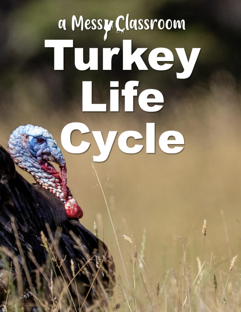 Turkey Life Cycle (Thanksgiving Stories for Beginning Readers)