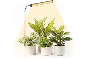 Juhefa LED Battery Heat Lamp: Ultimate Plant Nurturing Solution