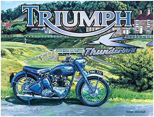 AMSC CLASSIC ARTWORK - TREVOR MITCHELL COLLECTION - Triumph Thunderbird Motorcycle - Artwork Is Paint On Metal