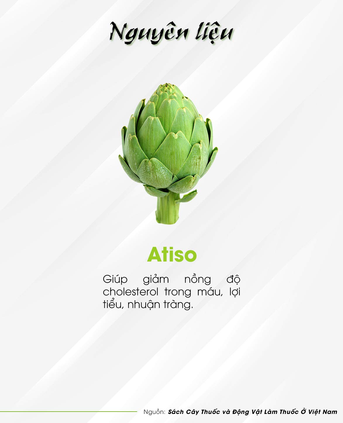 02Boxes (25 Teabags/box x 2g) - Atiso Tea Hung Phat - Tra Atiso Hung Phat - Image 2