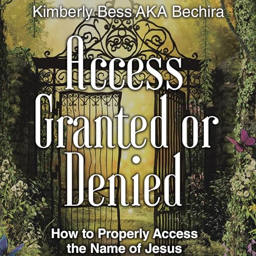 『Access Granted or Denied』のカバーアート