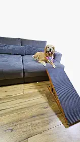 Rampa Pet Com 4 níveis de Regulagem Em Madeira Antiderrapante para Cães e Gatos Porte Pequeno Ao Extra Grande – Suporta até 40kg, Luma Pet - Madeira com Verniz