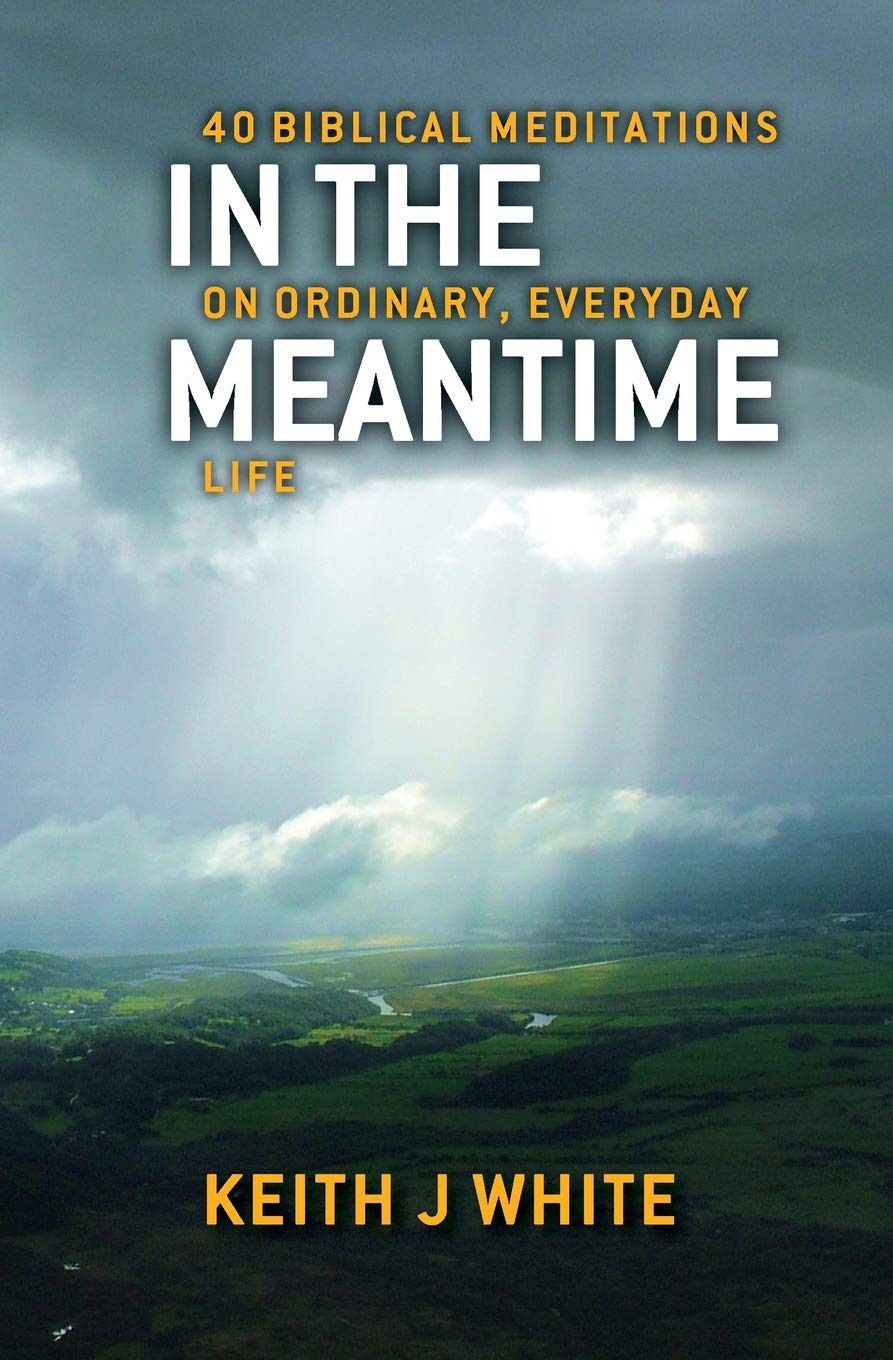 In the Meantime: 40 Biblical Meditations on Ordinary, Everyday Life