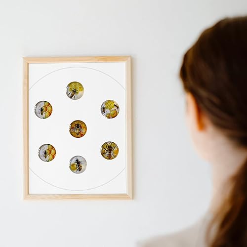 Miniatura 6 de 12 imanes para refrigerador de abejorros de cristal, bonitos imanes de abeja de miel, regalos para baby shower, decoraciones temáticas de borrado en