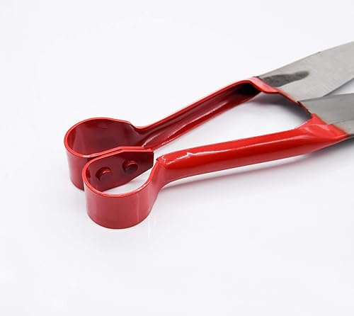 Miniatura 4 de Tijeras de alpaca de cizalla de oveja diseño en forma de R para aseo de animales de pelo grueso grande (rojo)