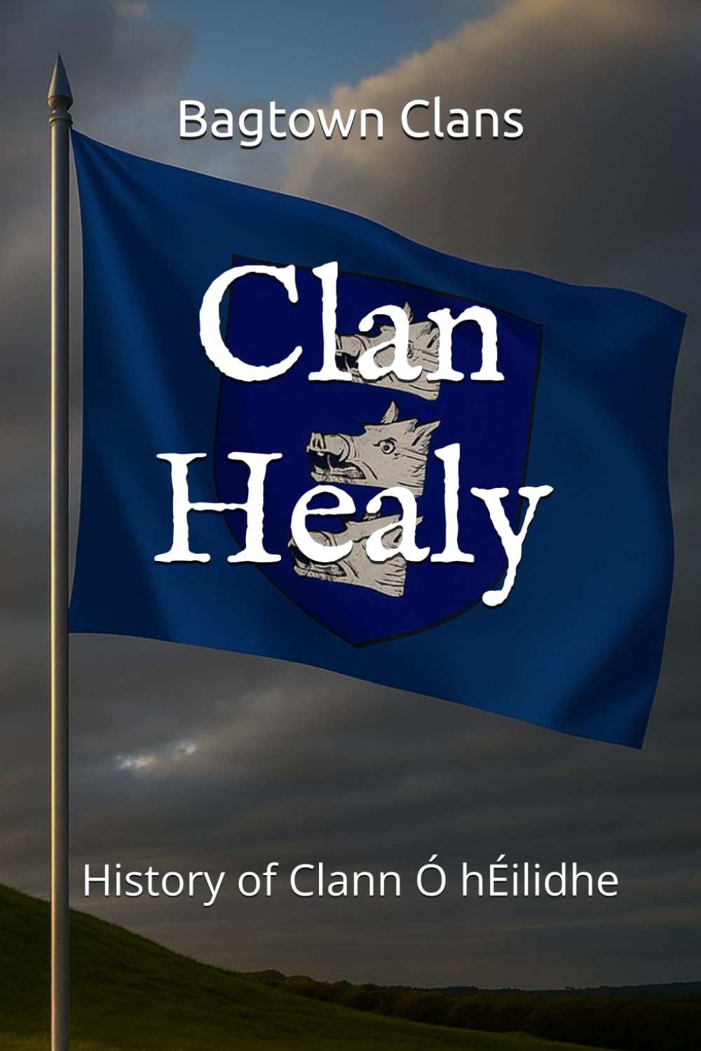 Clan Healy: History of Clann Ó hÉilidhe (The Irish Clans)