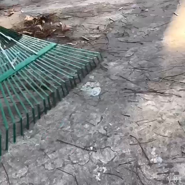 Milageto Tête De Râteau Jardin 22 Dents - Fer Robust E - 40x40 Cm - Ramasse Feuilles Et Débris - Sans Manche