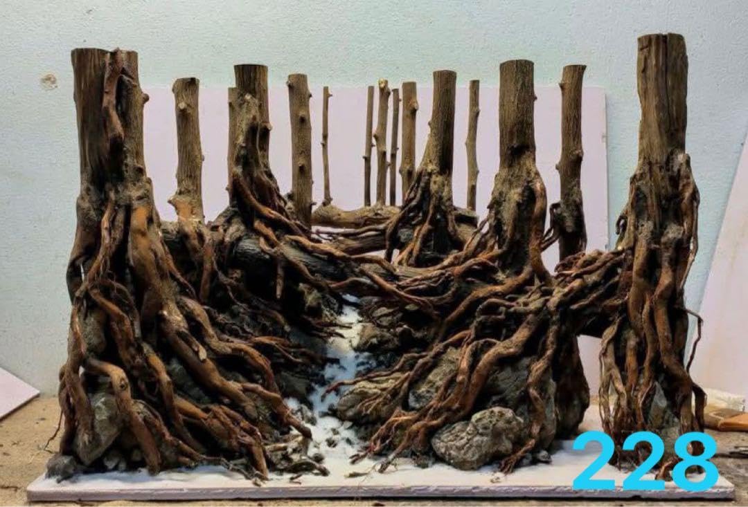 Amazon.co.jp: 水槽用流木 自然なデザイン. 盆栽流木 の水槽水草