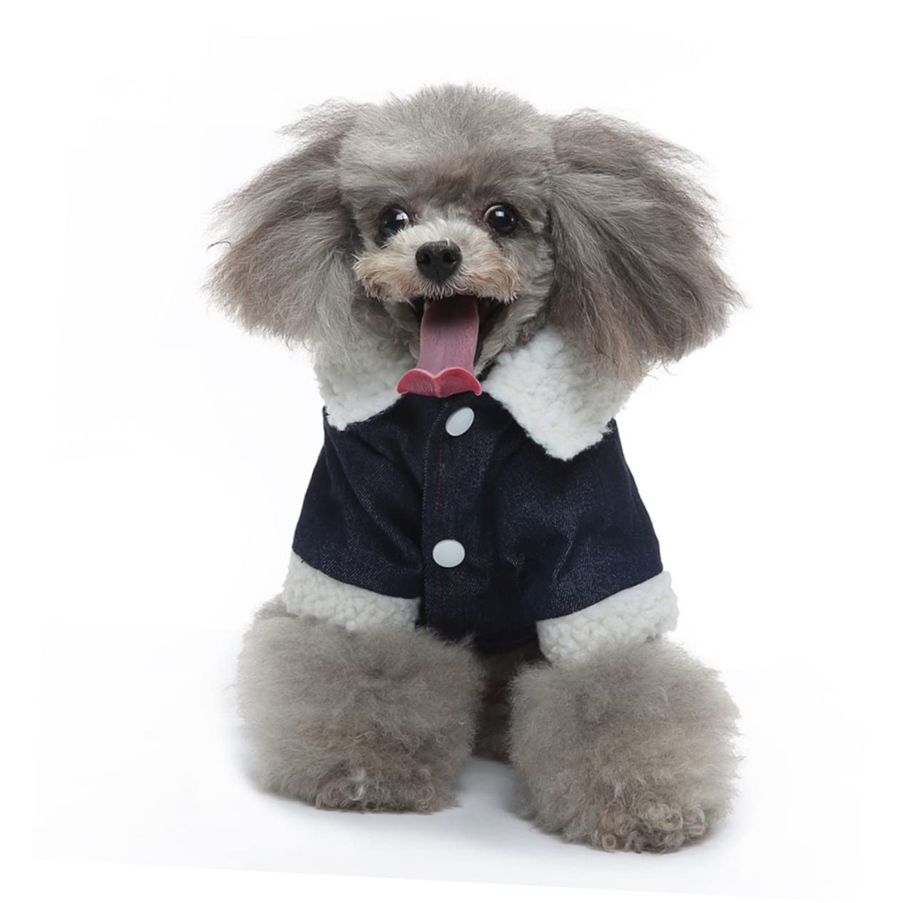 SUPVOX Lot De 5 Manteaux pour Chiens Vêtements pour Animaux De Compagnie Matériau Confortable Respirant Artisanat