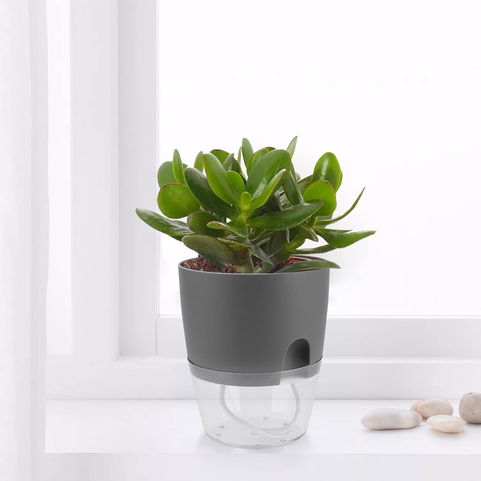 Set di 6 Vasi Auto-Irriganti in Resina, 15,3 x 18,2 cm, con Serbatoio Idrico, per Piante da Interno ed Esterno, Erbe Aromatiche, Davanzale, Cucina, Grigio