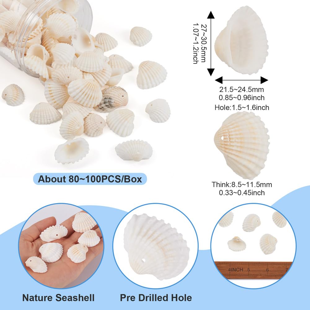 PH PandaHall 100 pz Ciondoli Artigianali Conchiglia Conchiglie Spirali Ciondolo Conchiglie Ciprea Naturali per Creazione Gioielli