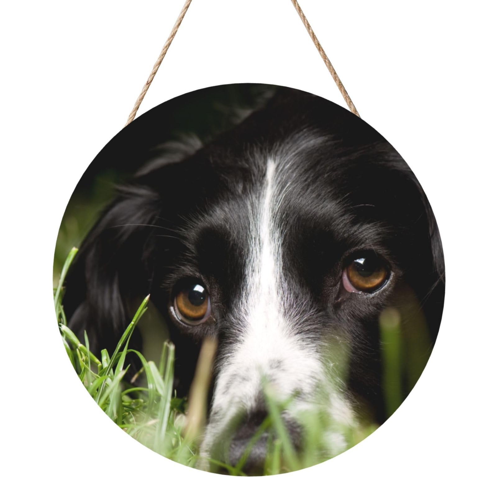 InOmak Border Collie Pets Grass Black Border Collie, Round Wood Panel Painting 12 in, Wall Hanging Painting For Home