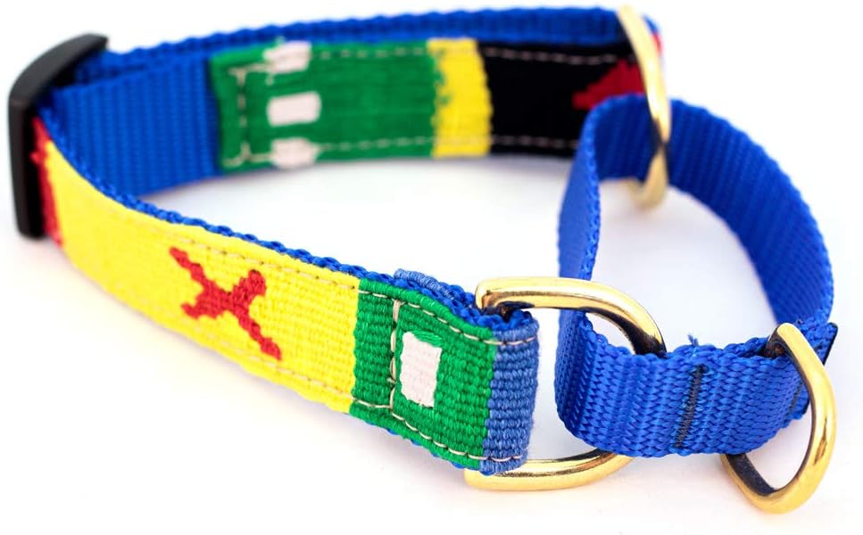 Martingale Style Dog Collar - Harborside Daybreak (Medium 14-20")