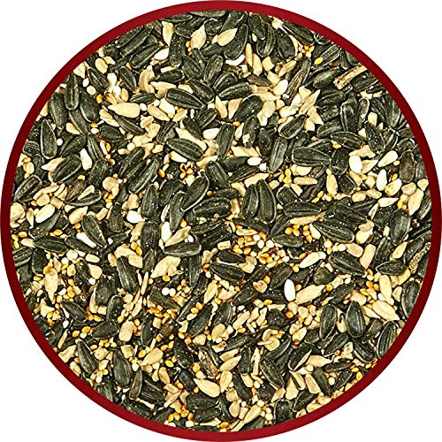 Kaytee Midwestern Regional Seed Blend for Cardinals, Finches, Chickadees, Woodpeckers and Other Outside Wild Birds, 14 Pound Box - image 7