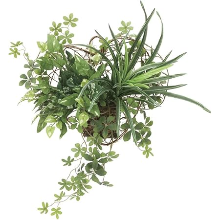 Amazon 人工観葉植物 壁掛けミックスグリーン 40ｃｍ 光触媒加工 フェイクグリーン 代引き不可 人工観葉植物 オンライン通販