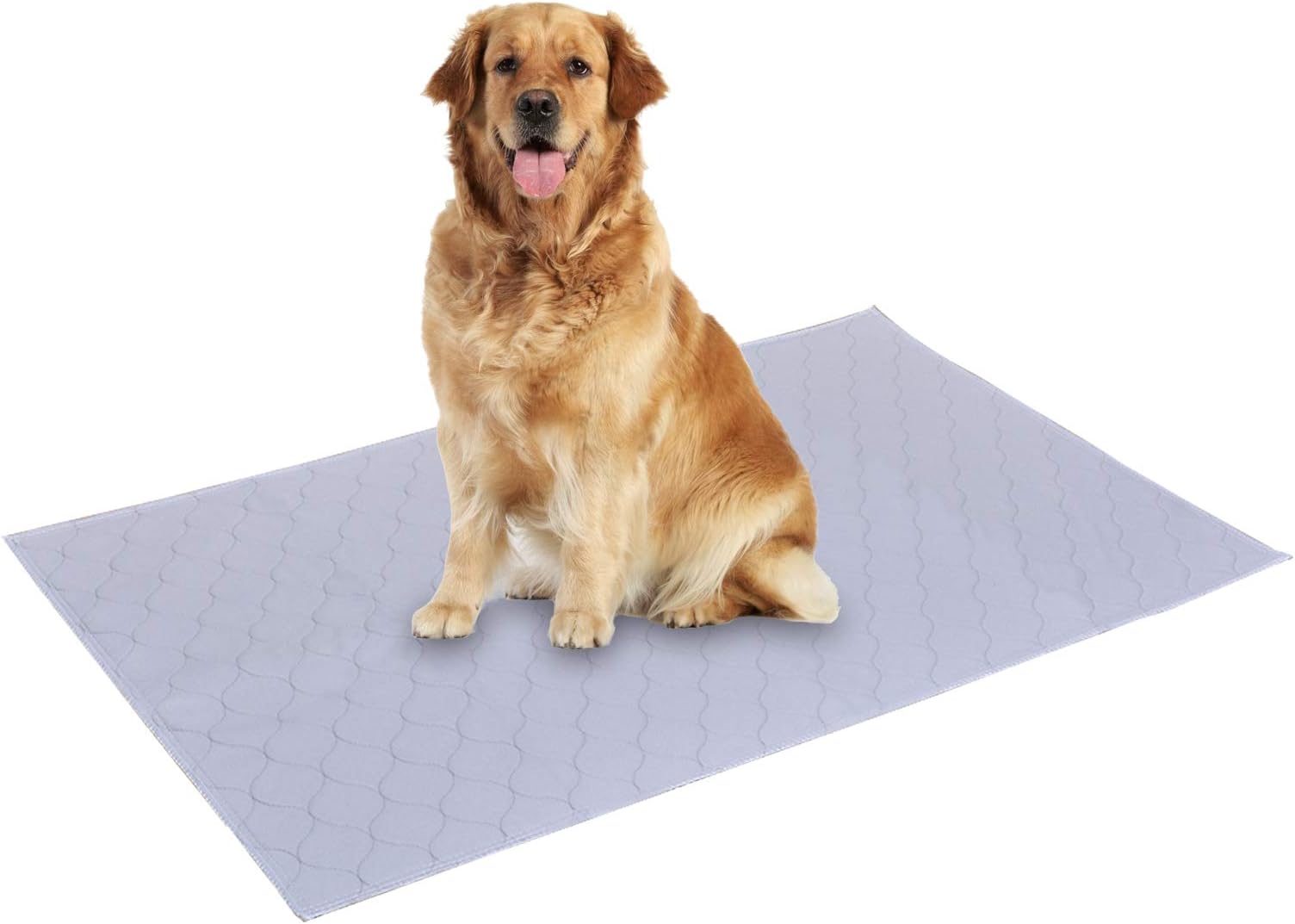 Dog Grass Large Potty Patch, Artificial Dog Grass Bathroom Turf for Pet Training, Washable Puppy Pee Pad, Perfect Indoor/Outdoor Portable Potty Pet Loo (Potty system-41"X26.8")