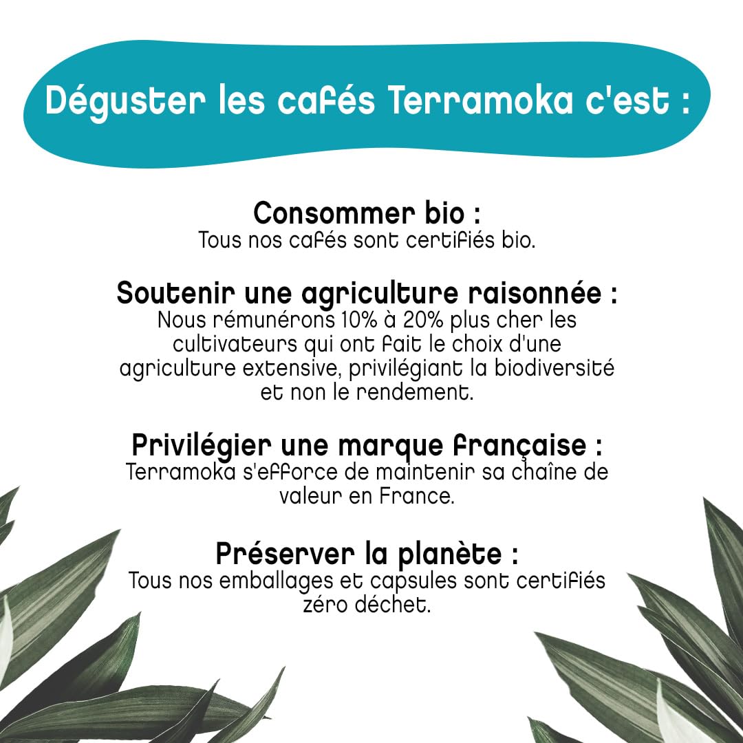 TERRAMOKA - Coffret Découverte 192 Dosettes Compatibles avec Senseo Café Bio d’excellence (12 * 16) - 100% Pur Arabica - Riche et Savoureux - Sachet 100% Recyclable - Idée cadeau - Torréfié en France