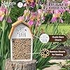 Nature's Way Wooden Bee House for Outdoor Décor, Beneficial Insects and Pollinators, Mason Bee, Leafcutter Bee, White