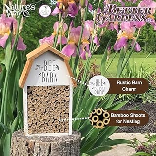 Nature's Way Wooden Bee House for Outdoor Décor, Beneficial Insects and Pollinators, Mason Bee, Leafcutter Bee, White