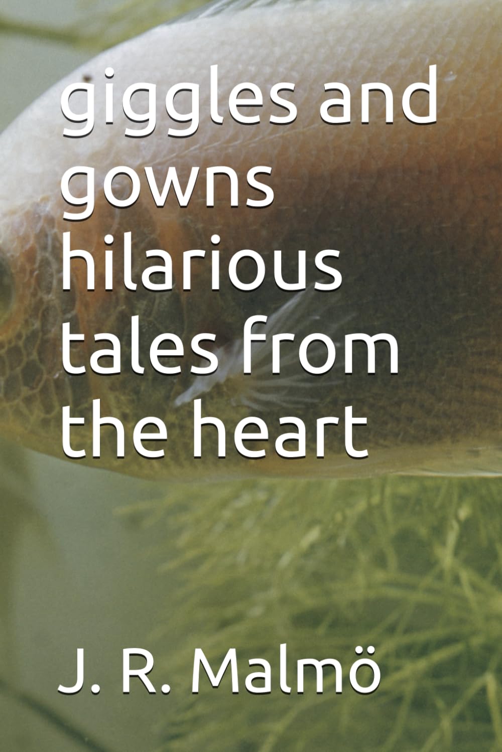 giggles and gowns hilarious tales from the heart