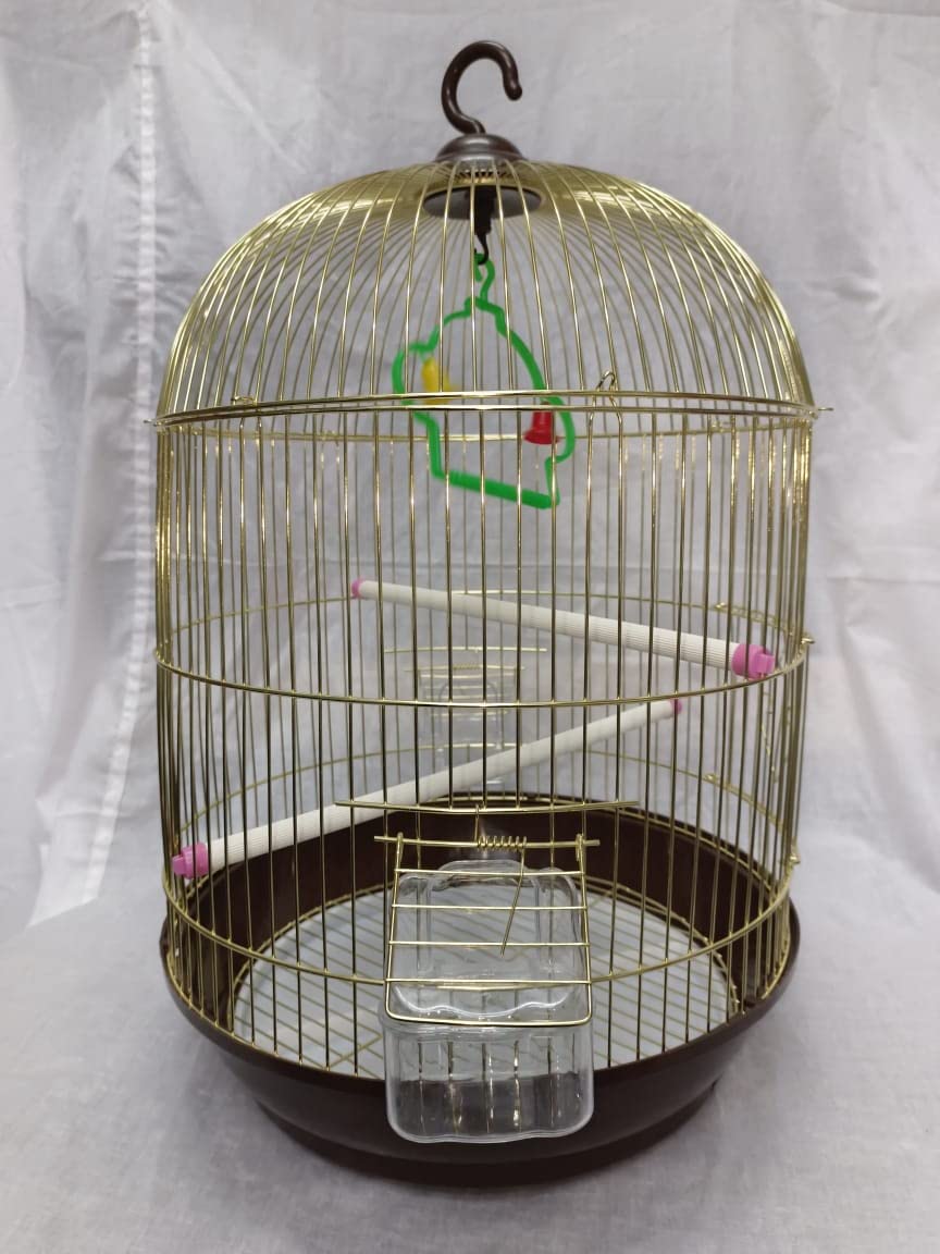 CENTRAL FISH AQUARIUM Bird Cage For Budgies,Finches,Love Birds,Cuttlefish Boneholder,Cuttlefish Bone,2 Plastic Perch,2Cups,Swing (H: 18 Inches/Circumference : 12 Inches)-(004 Gold) Small 3