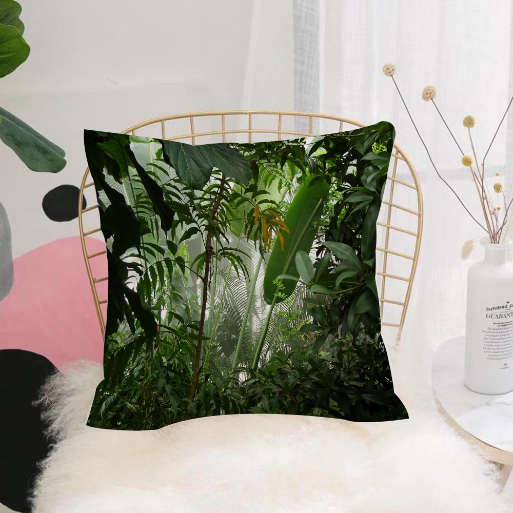 Hyosxw Rainforest Ations Set, Tropical Rainforest P - A3 Cushion Cover,Throw Pillow Case Home Decorative For Living Room Bedroom Sofa Chair 18X18 Inch,Rainforest Ations Set, Tropical Rainforest Preservation Moisture Palm Tree,Pillowcase 45X45cm
