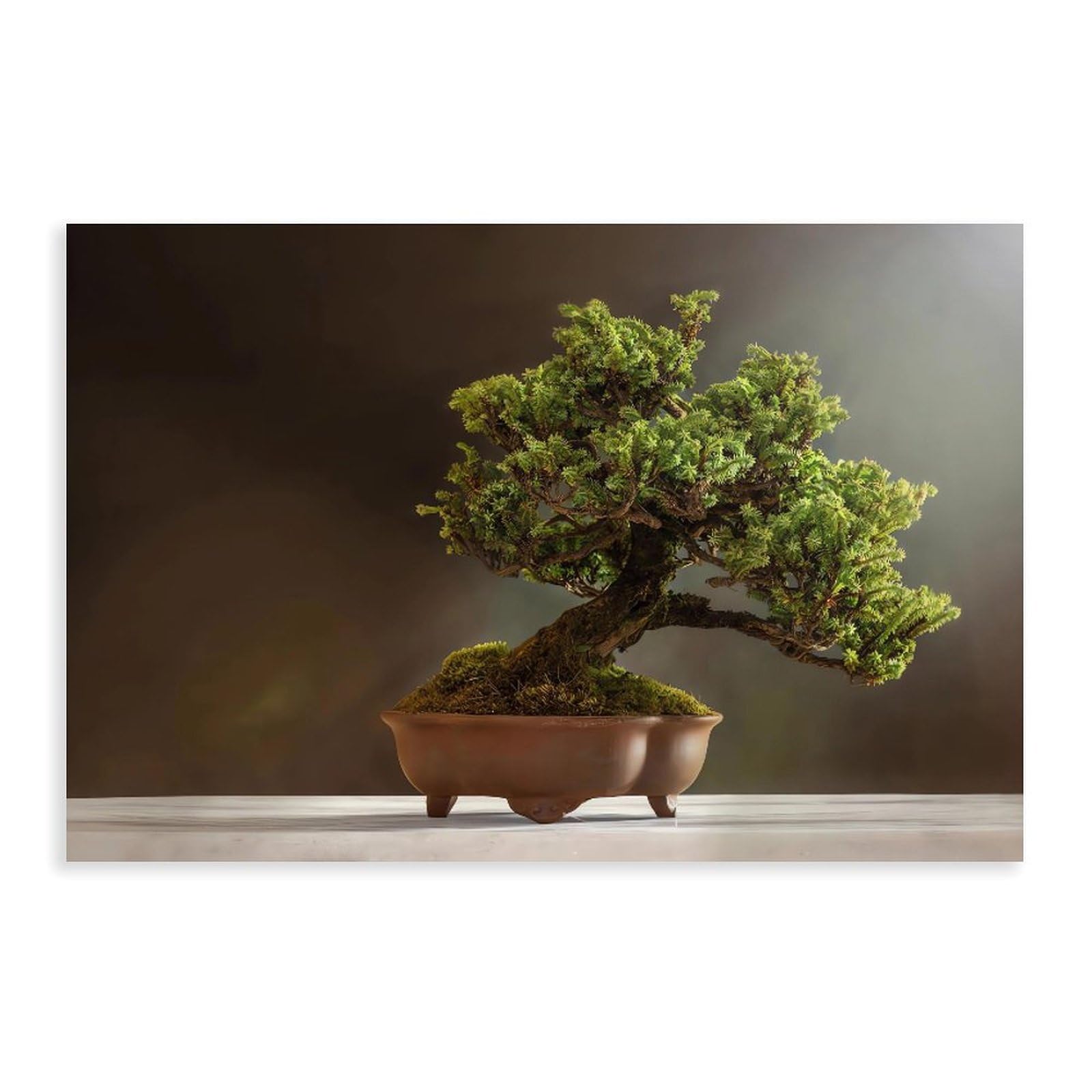 Qnvjqkdsi Unframe Minimalistic Bonsai Art Canvas Poster Bedroom Decor Landscape Office Room Decor Gift 24" L X 36" W