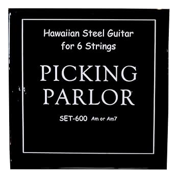 スチールギター 6弦 ブラウン ケース付き スチールギター 6弦 ブラウン ケース付き