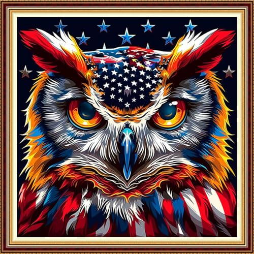 Image of Funchey Stamped Cross Stitch Kits, DIY Cross Stitch Pattern for Adults Beginners Needlepoint Kits Embroidery Kit Arts and Crafts 11CT-National Flag Owl 18x18 inchs