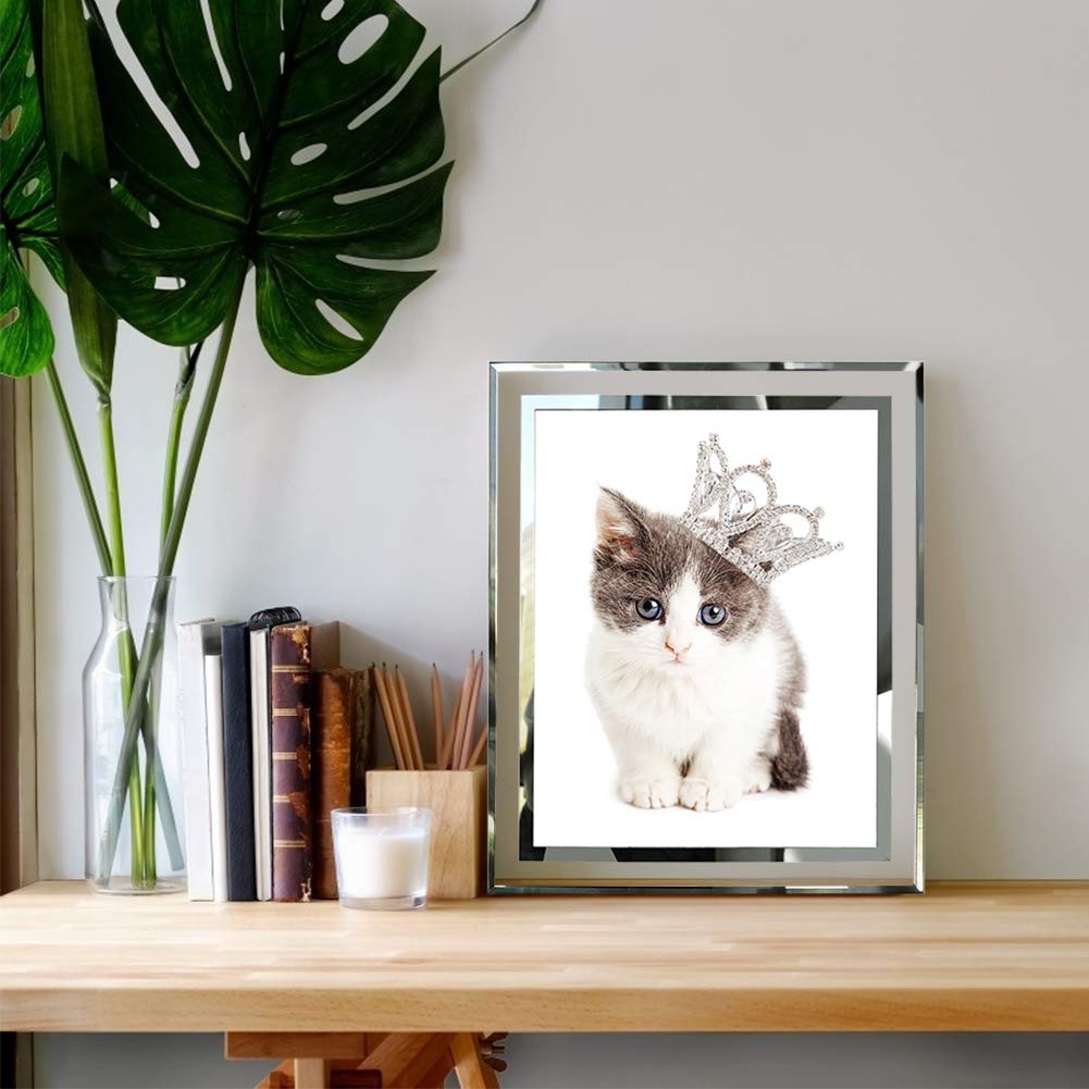 Amazon.co.jp: フォトフレーム 六つ切り 写真 フレーム ガラス