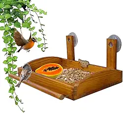 Comedouro Bandeja De Madeira Passarinho Com Ventosa Para Janela