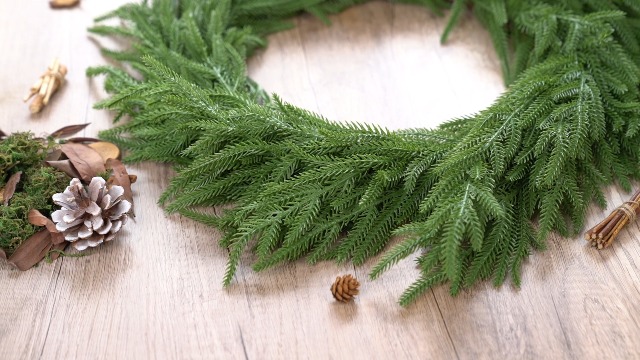 Amazon.com: XmasExp Norfolk Pine Wreath 20INCH Real Touch