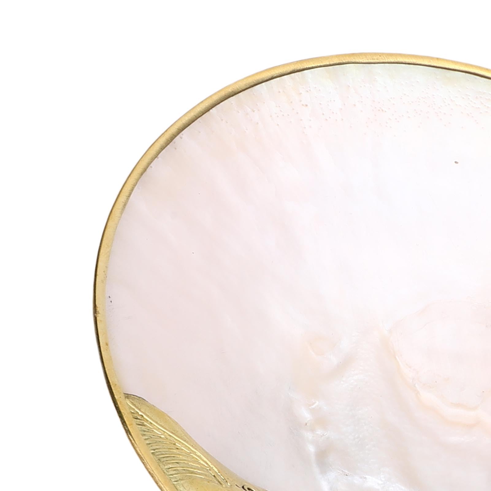 Bandeja de concha, de joyería, soporte para anillo de nácar