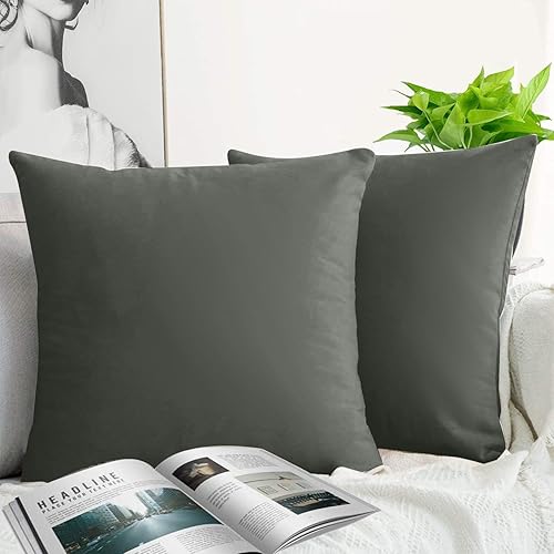JUEYINGBAILI - Fundas de almohada de terciopelo decorativo, 2 unidades, ultrasuaves, en un solo color, cojín cuadrado para sofá, silla, sillón,